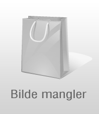 VELG DINE EGNE ORD - INNLEGG